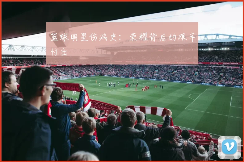 篮球明星伤病史：荣耀背后的艰辛付出
